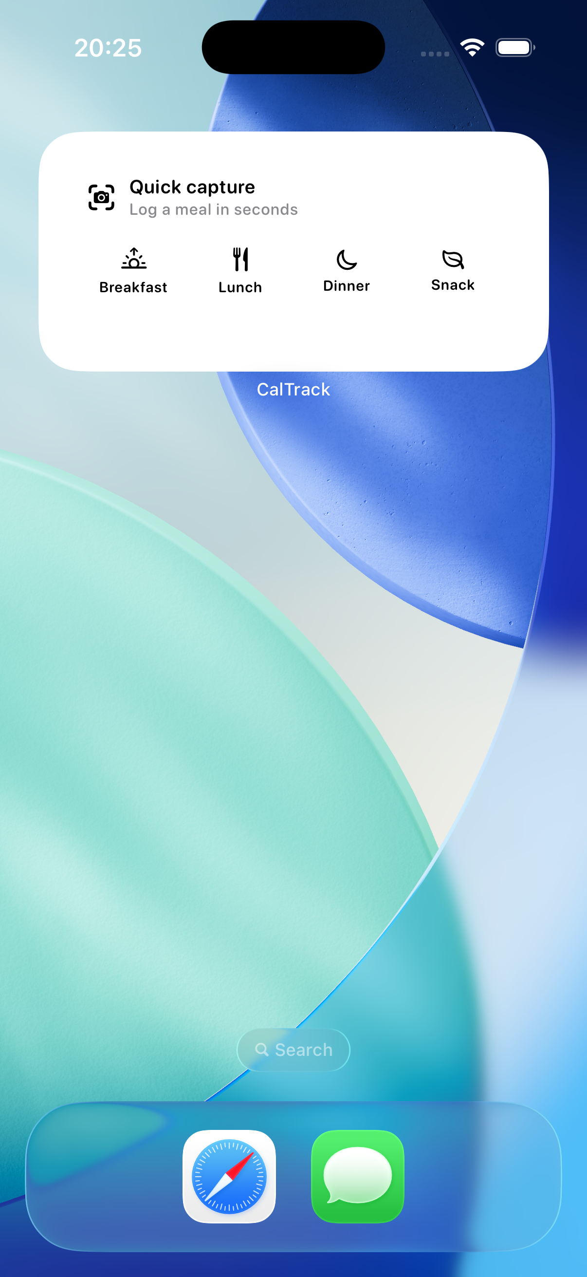 CalTrack Quick Capture widget